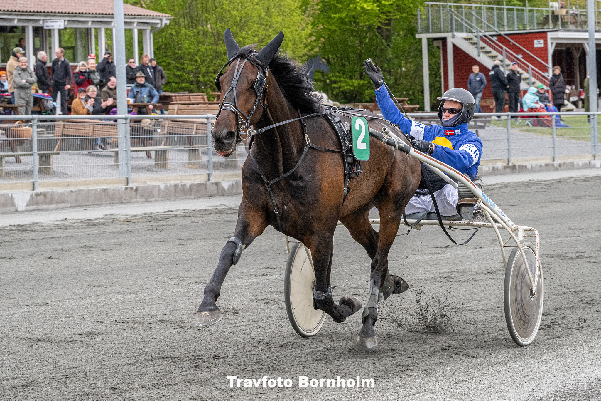 Inter Flamingo med Mads K Mogensen 10 maj 2025 Fotograf Torben Ager Travfoto Bornholm TKA 8921