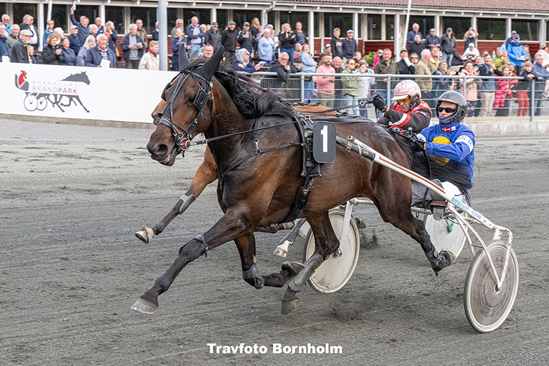 Inter Flamingo med Mads K Mogensen 17 juni 2025 Fotograf Torben Ager Travfoto Bornholm TKA 2470