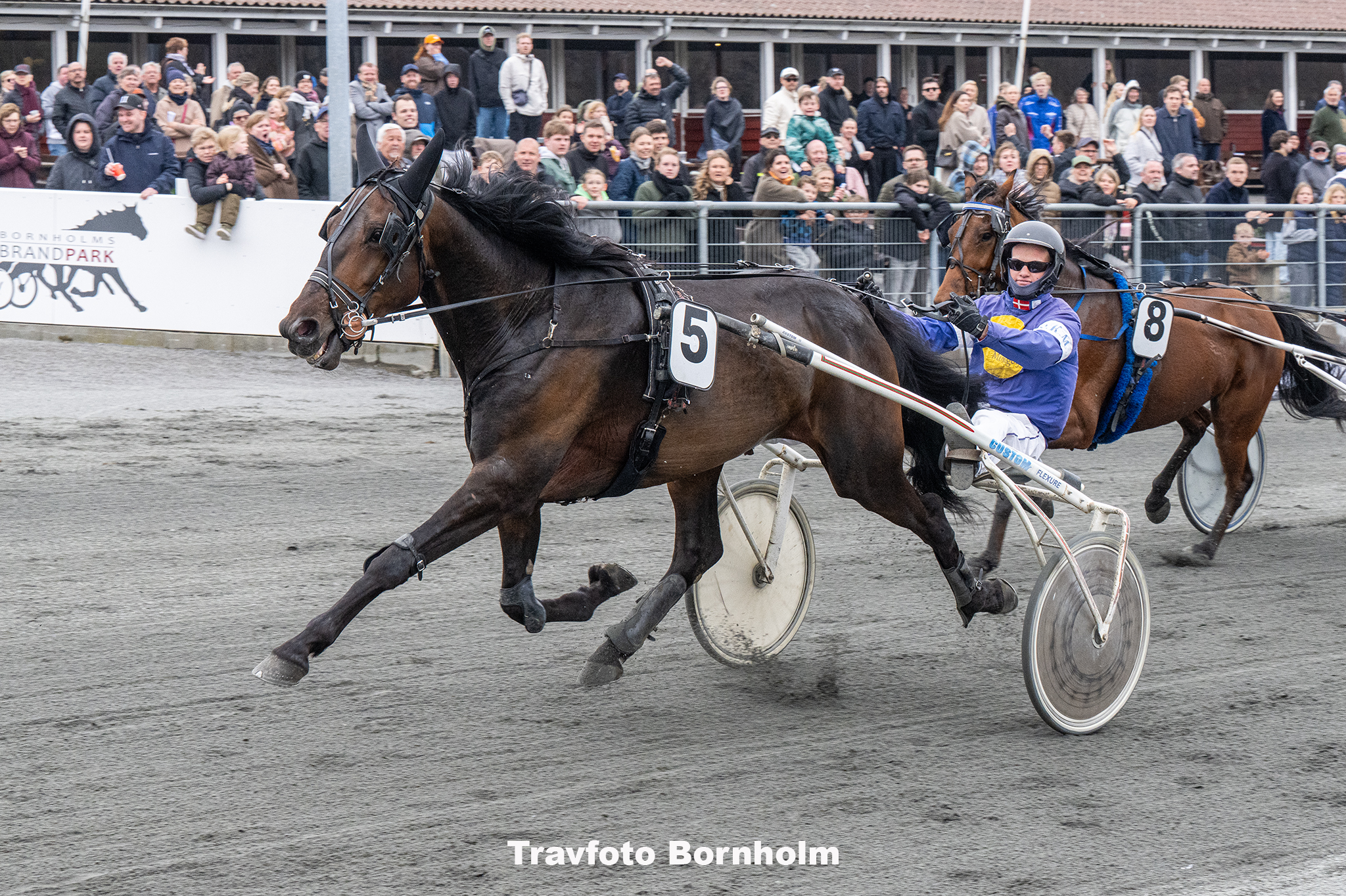 Inter Flamingo med Mads K Mogensen 19 april 2025 Fotograf Torben Ager Travfoto Bornholm TKA 7826