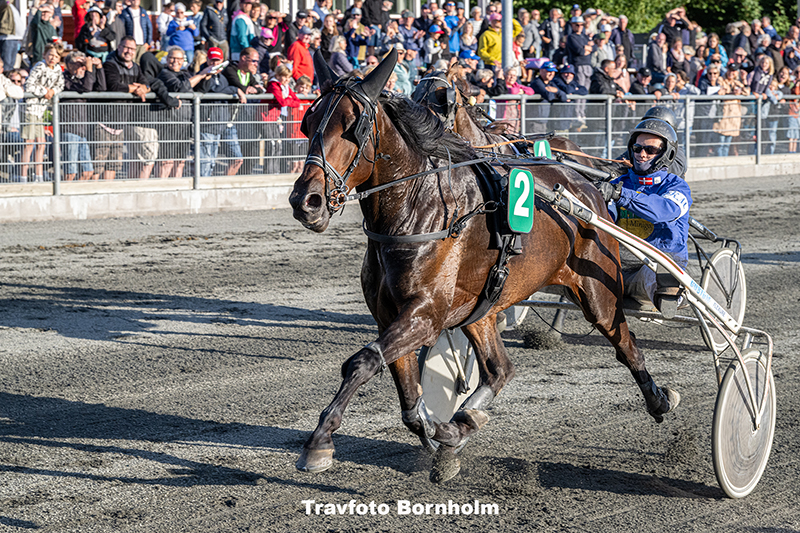 Inter Flamingo med Mads K Mogensen 5 august 2025 Fotograf Torben Ager Travfoto Bornholm TKA 8280