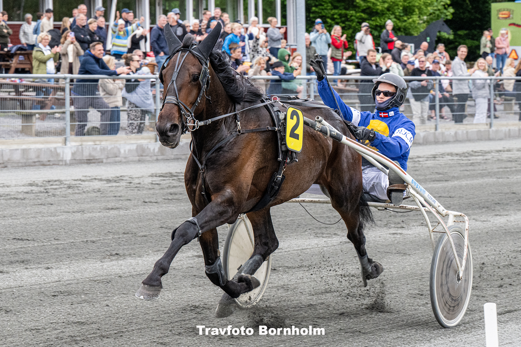 Inter Flamingp med Mads K Mogensen 5 juni 2025 Fotograf Torben A