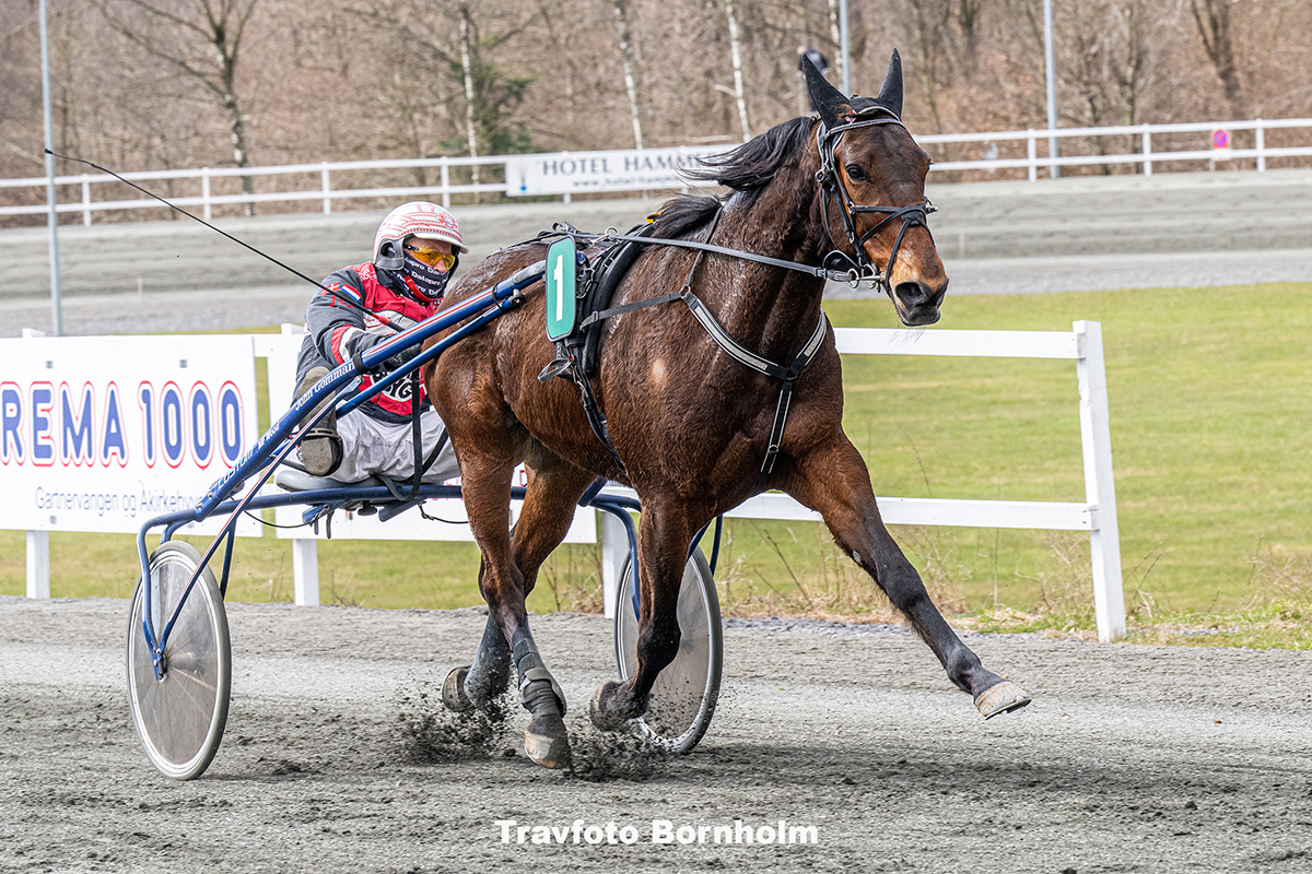 Ismael F Boko med John Gommans 4 april 2026 Fotograf Torben Ager Travfoto Bornholm TKA 8959