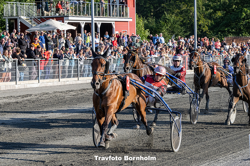 Ismael F Boko med John Gommans 5 august 2025 Fotograf Torben Ager Travfoto Bornholm TKA 8225