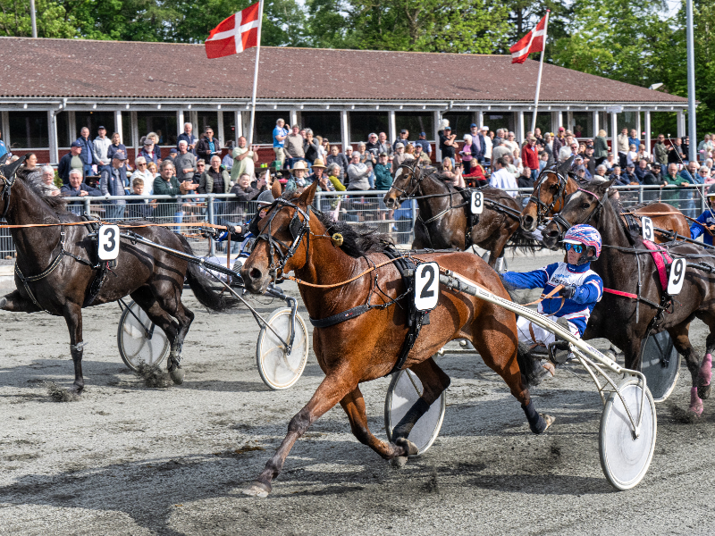 Itziar med Niclas Steinlain 5 juni 2026 Fotograf Torben Ager Travfoto Bornholm TKA 4750 800x600 1