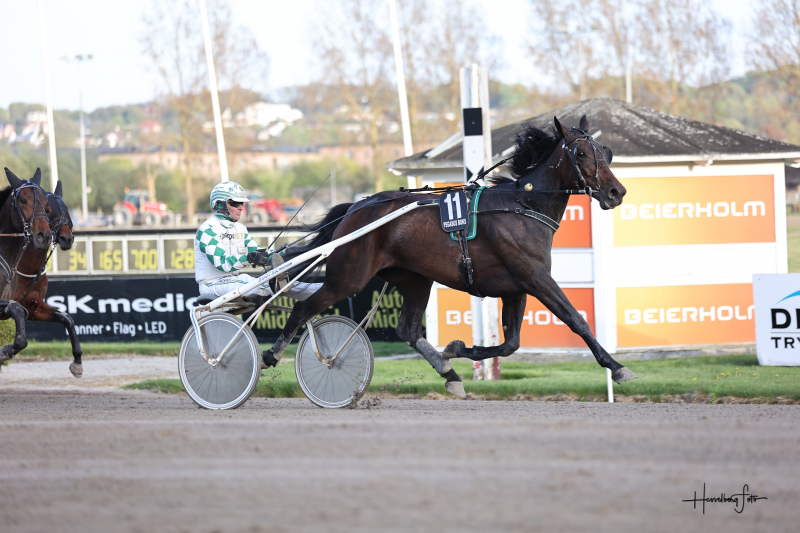 IzabellaNordic 0789
