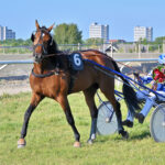 Just A Lady jagter ny triumf i Frankrig Just A Lady jagter ny triumf i Frankrig