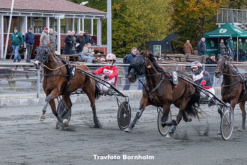 Jack Baldwin med Mads Petersen 25 oktober 2025 Fotograf Torben Ager Travfoto Bornholm TKA 4250