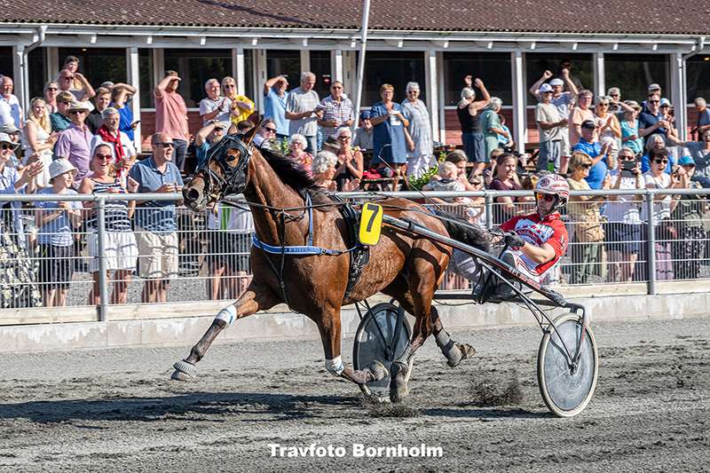 Jackpot med Mads Petersen 14 august 2025 Fotograf Torben Ager Travfoto Bornholm TKA 8860