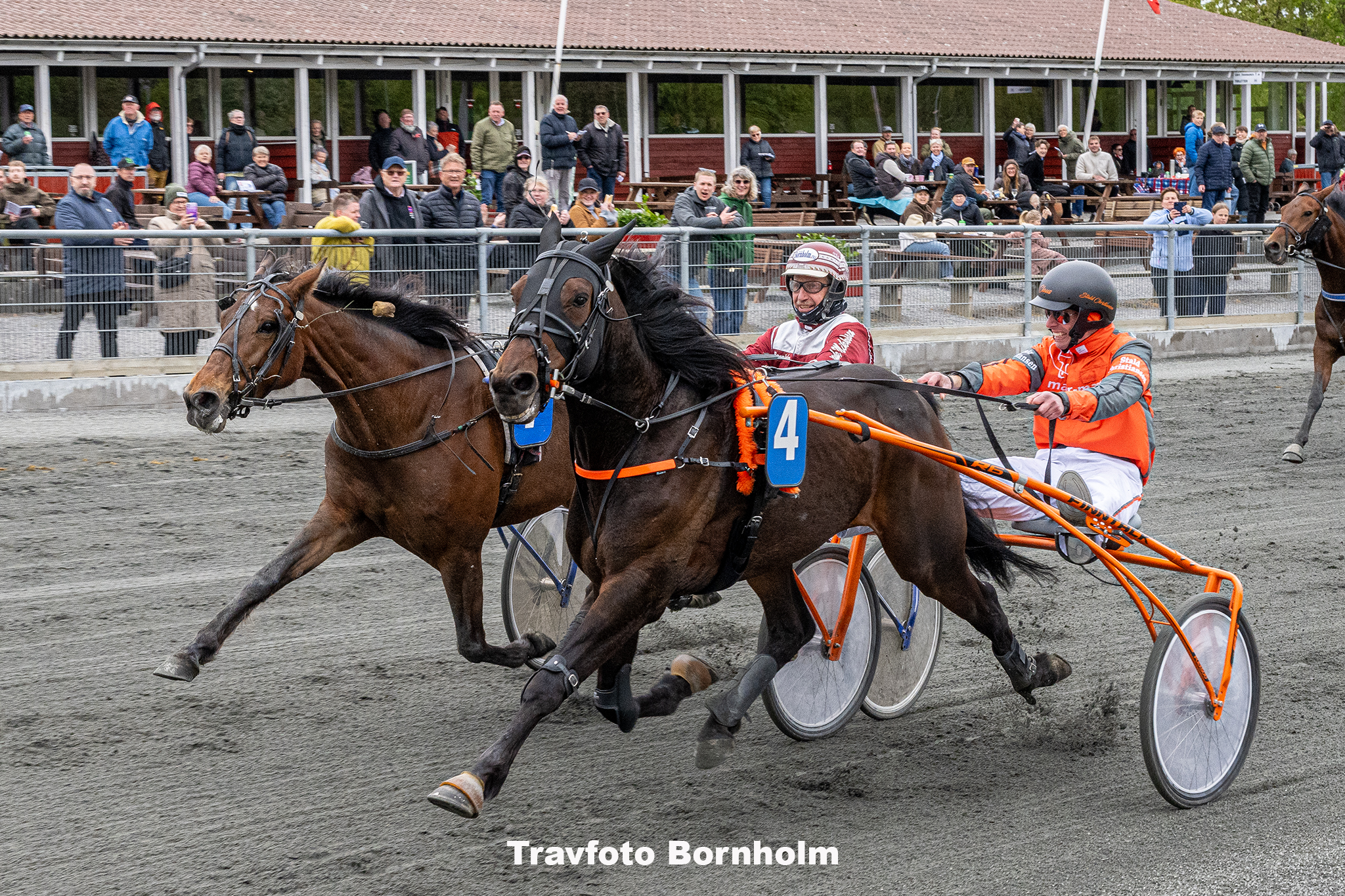 Joe K med Claus Peter Christiansen 10 maj 2025 Fotograf Torben Ager Travfoto Bornholm TKA 8843