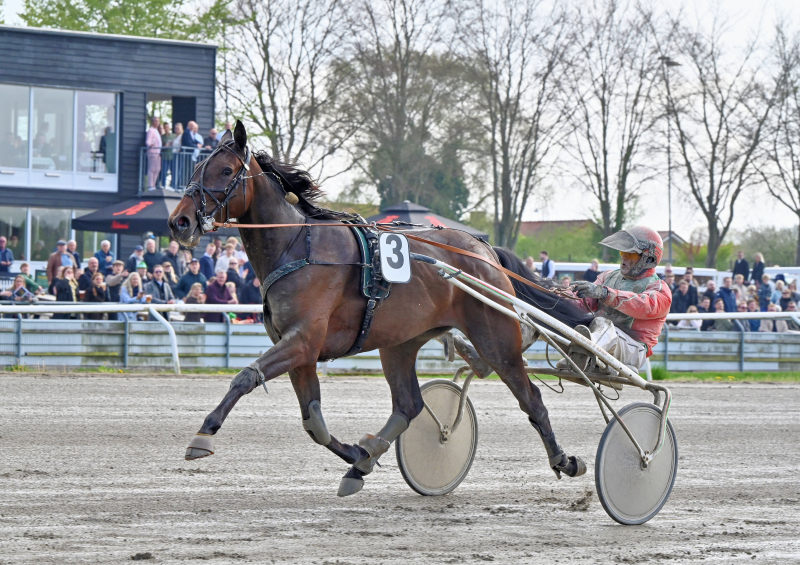 KATTEJAMMER CASH DSC 2738