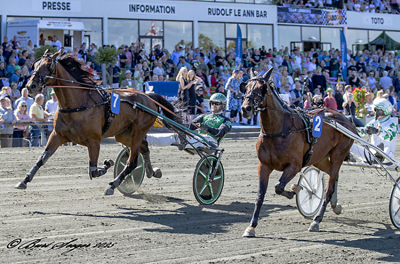 Sådan gik det på Charlottenlund Travbane KINGSTON_SOTTO_S2_8655