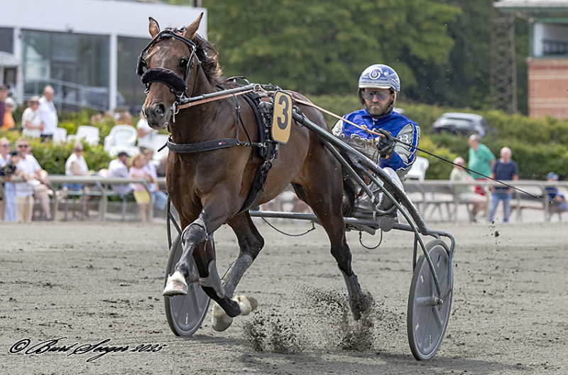 KONG SEBASTIAN S2 4254