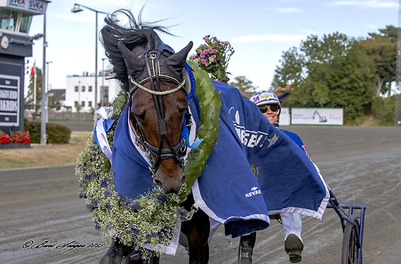 Dansk Derbyvinder gør sæsondebut KREADLYS_LEW_S2_9012