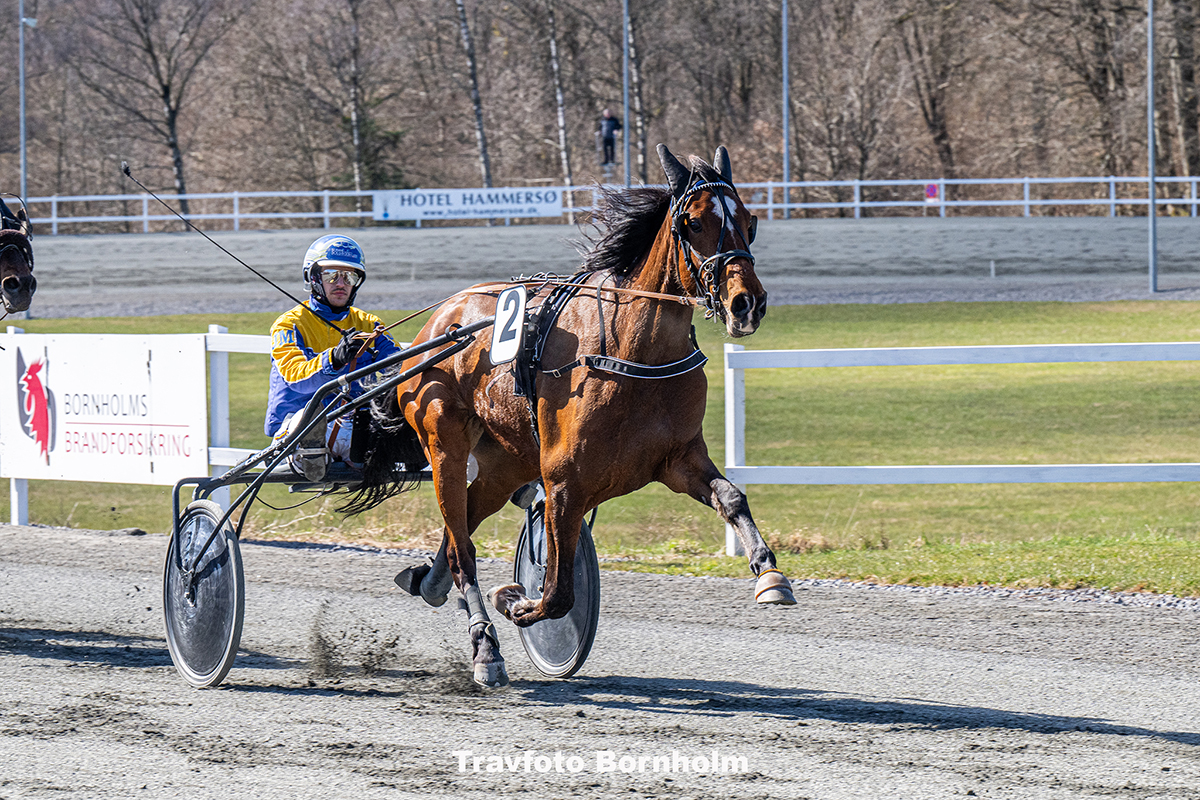 Ka li Baunely med Jonas Mikkelsen 4 april 2026 Fotograf Torben Ager Travfoto Bornholm TKA 8995