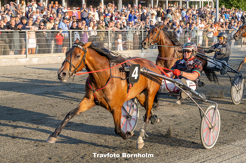 Kaekke Konrad W A med Anders F Jensen 29 juli 2025 Fotograf Torben Ager Travfoto Bornholm TKA 7716