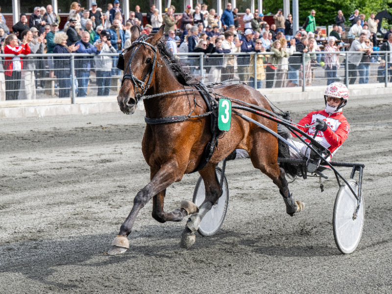 Kenzo River med Mads Petersen 5 juni 2026 Fotograf Torben Ager Travfoto Bornholm TKA 4693 800x600 1