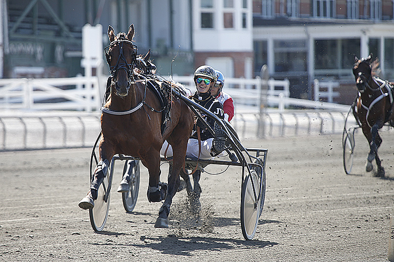 Vi samler op