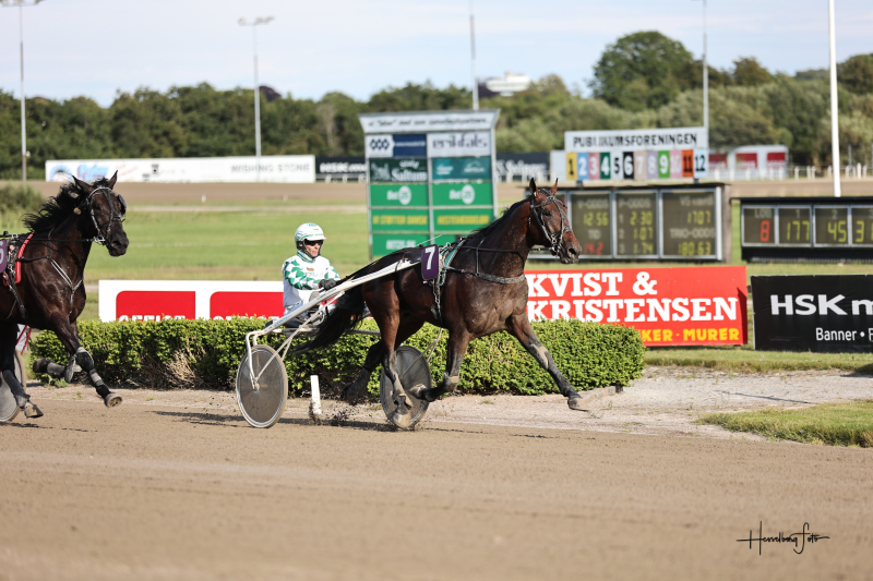 KingsDust 2624