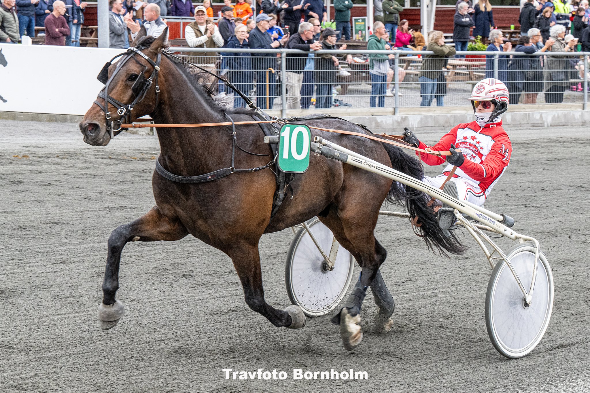 Kissed By Rain med Mads Petersen 5 juni 2025 Fotograf Torben Ager Travfoto Bornholm TKA 0729