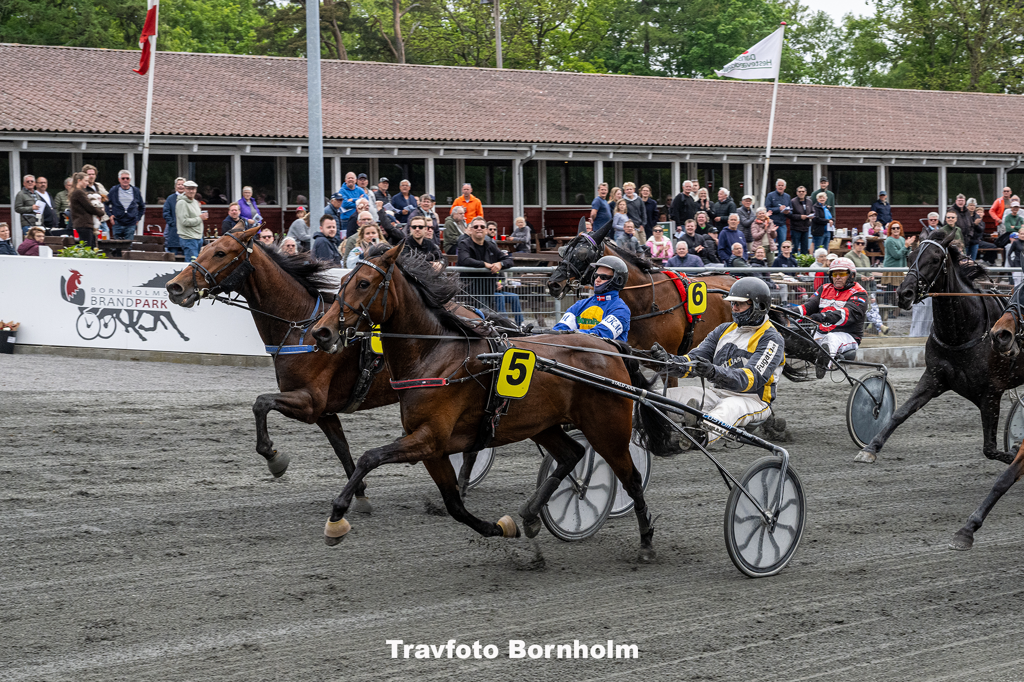Kiwi Troejborg med Soeren K Jensen 30 maj 2025 Fotograf Torben Ager Travfoto Bornholm TKA 9954