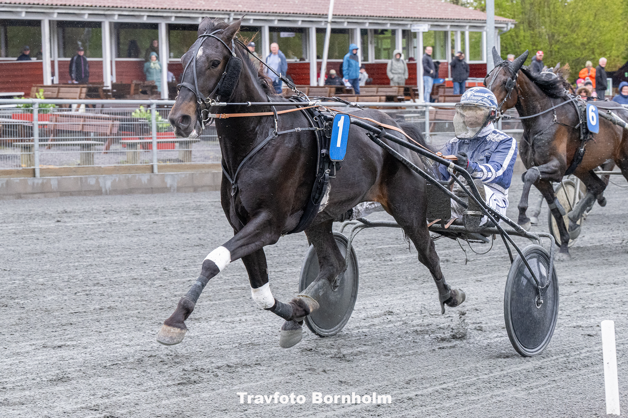 Kometen Baunely med Martin Sjoeholm Jensen 3 maj 2025 Fotograf Torben Ager Travfoto Bornholm TKA 8384