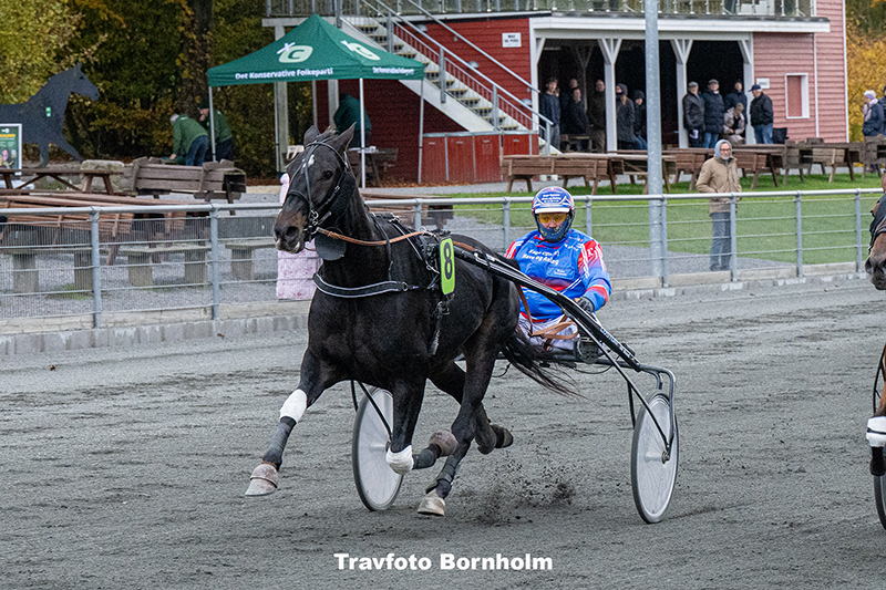 Kometen Baunely med Rene Jonassen 25 oktober 2025 Fotograf Torben Ager Travfoto Bornholm TKA 4396