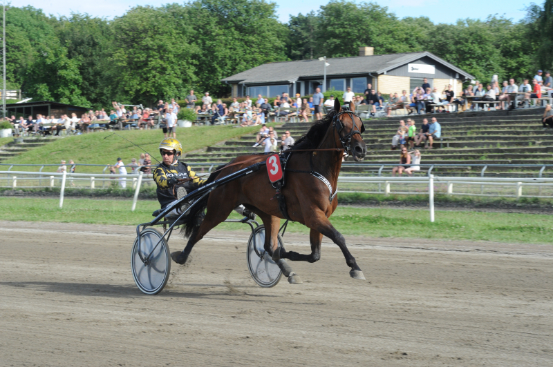 Christian Lindhardt – 10 sejre i 44 starter KopperDust_3243