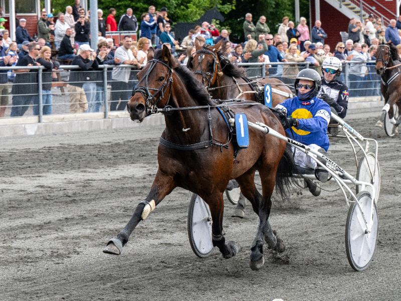 Kung Fu Raz med Mads K Mogensen 5 juni 2026 Fotograf Torben Ager Travfoto Bornholm TKA 4576 800x600 1