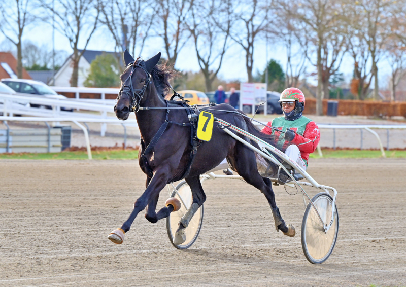 LANSON_DSC_4327