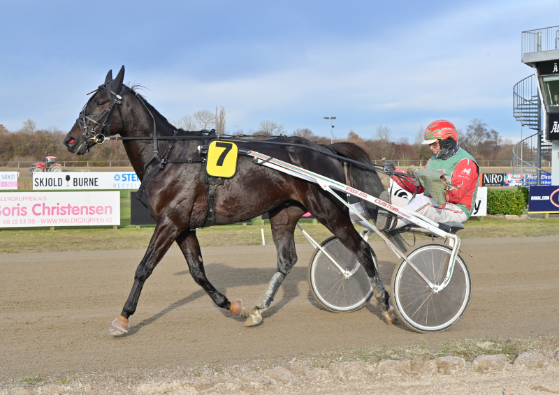 LANSON DSC 4342 1