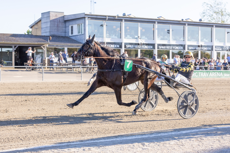 Last Blood – En hest med stærke ejere LAST_BLOOD