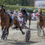 Kort Nyt — Vi samler op LEICESTER_S2_5852