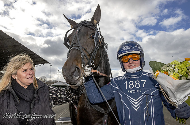 LIMERICK DOWNS D2I1882