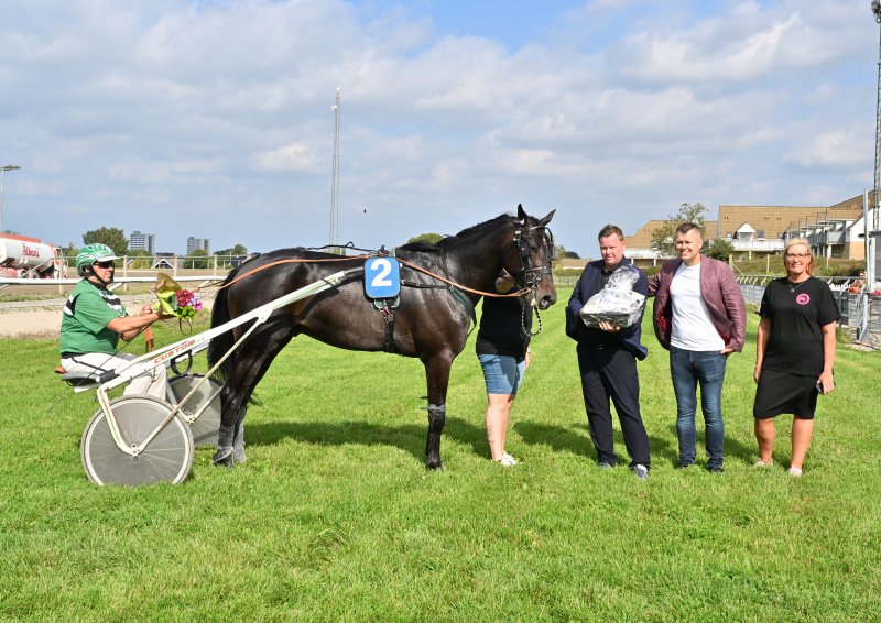LIMERICK DOWNS NZ9 8699