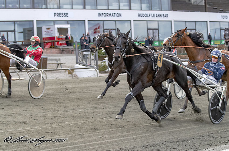 LIMERICK DOWNS S2 5493