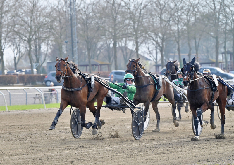 LOGIMA CONNANCY DSC 0444