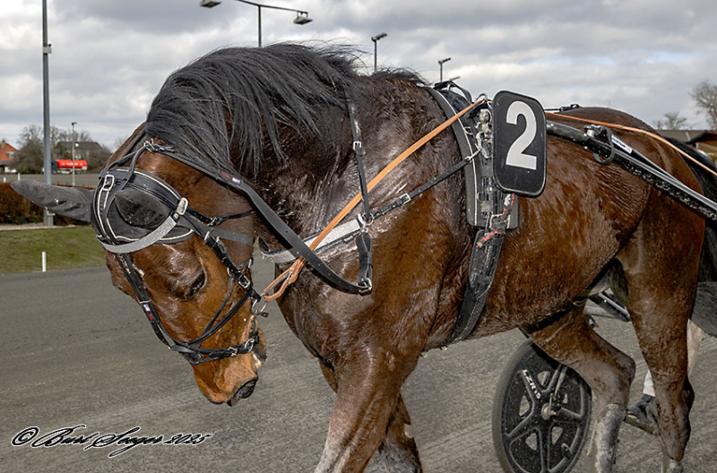 LUDVIG CASH D2I1584