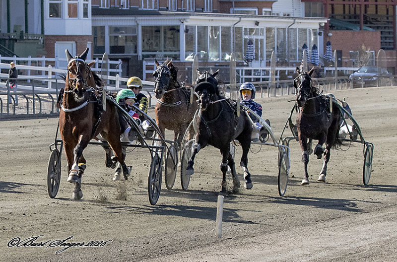 LUDVIG CASH S2 5677