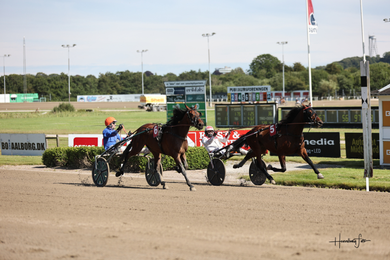 Labour Spring – Fra auktionens oversete talent til nomineret stjerneskud LabourSpring_2122