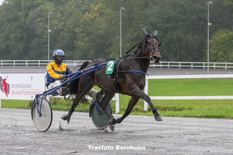 Lady Madanna med Jonas Mikkelsen 4 oktober 2025 Fotograf Torben Ager Travfoto Bornholm TKA 2663