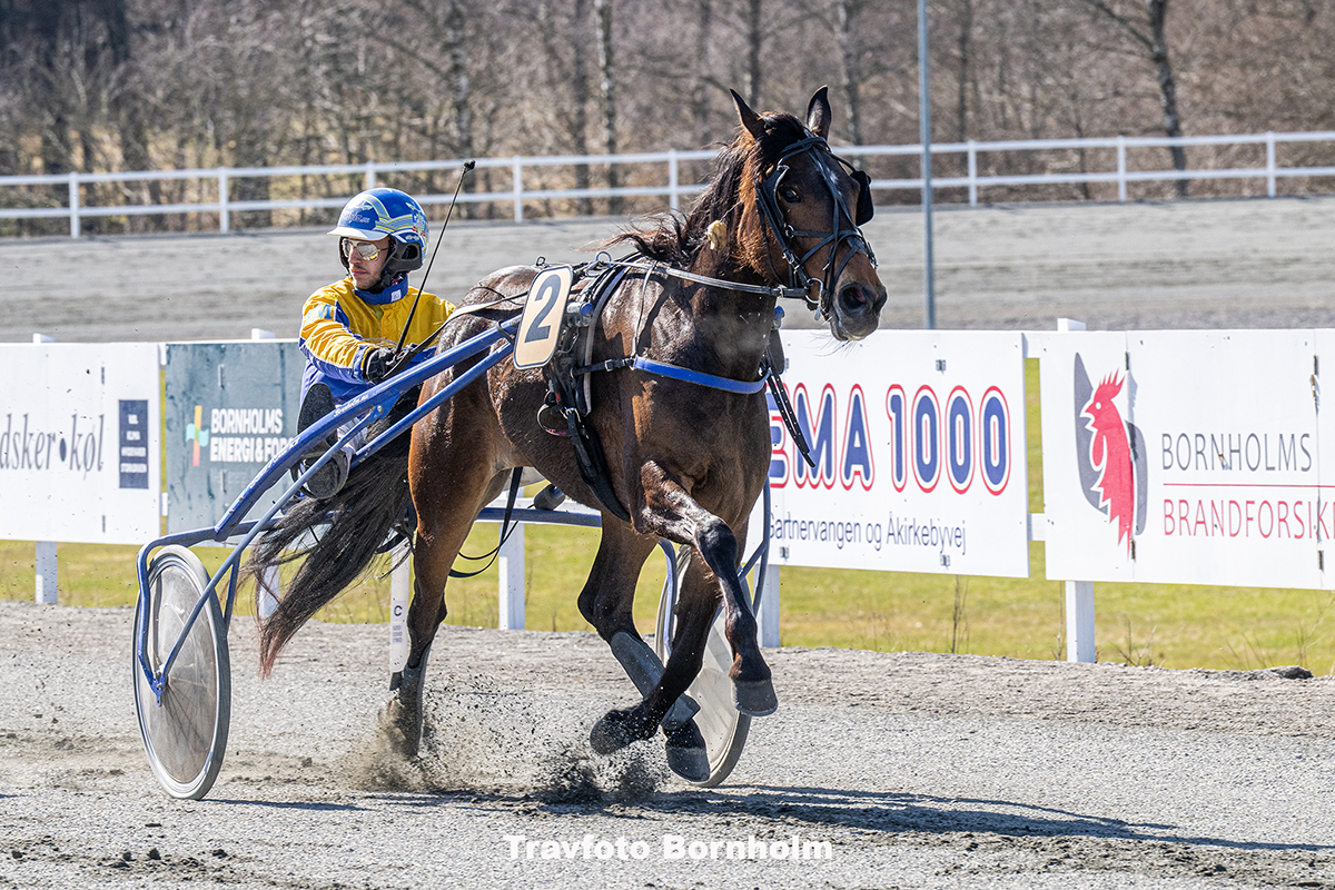 Lilivia med Jonas Mikkelsen 4 april 2026 Fotograf Torben Ager Travfoto Bornholm TKA 9072