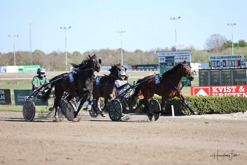 LilleAastrup 7162