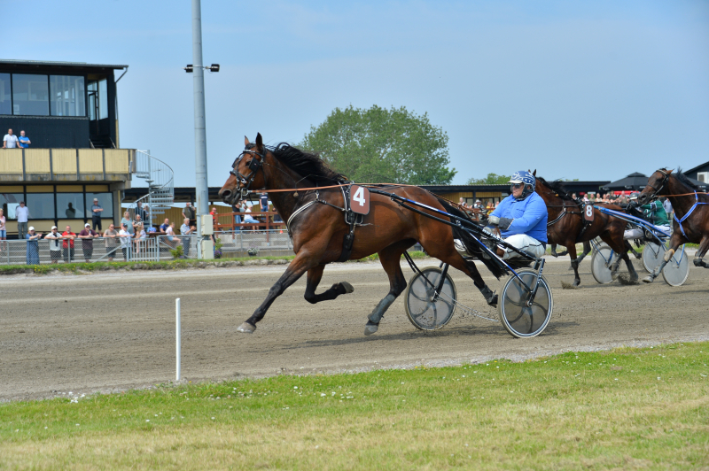 Livi Noble 250615