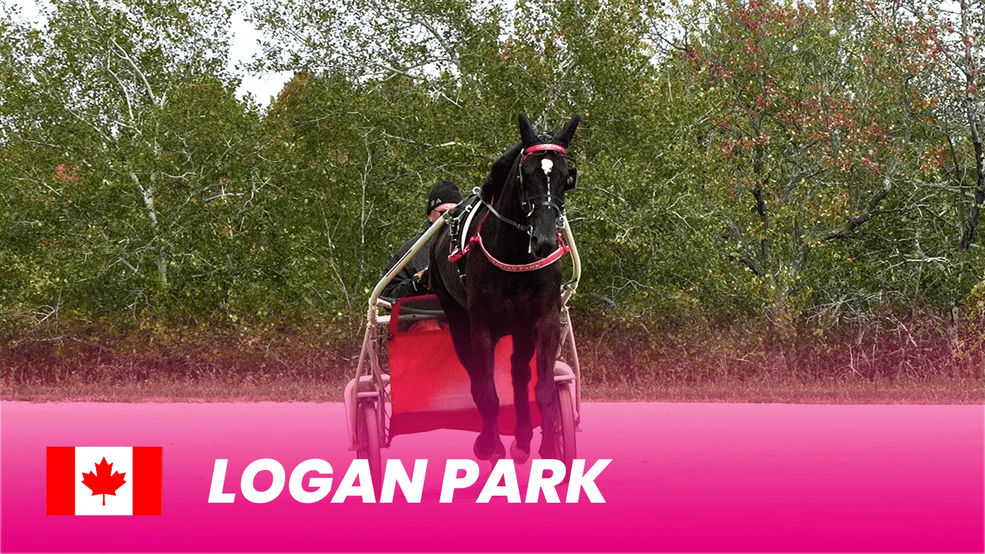 Logan-Park_1920x1080