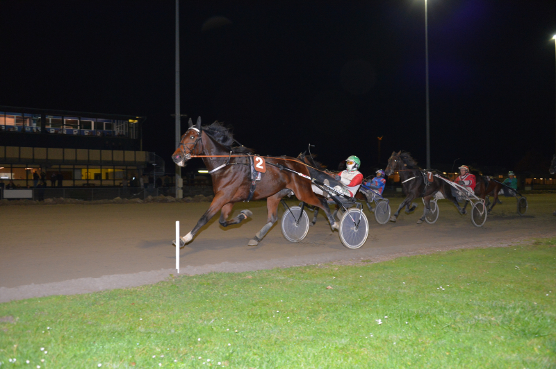 Ludvig Cash 251015
