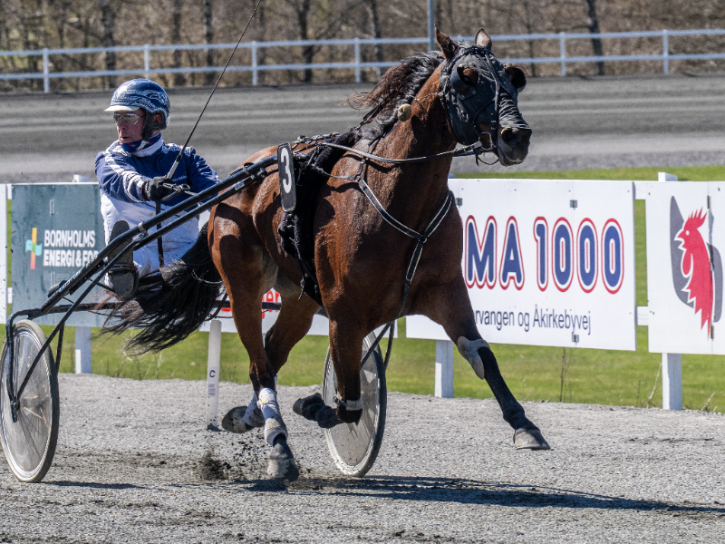 M T Reed med Martin Sjoeholm Jensen 26 april 2026 Fotograf Torben Ager Travfoto Bornholm TKA 0557 800x600 1