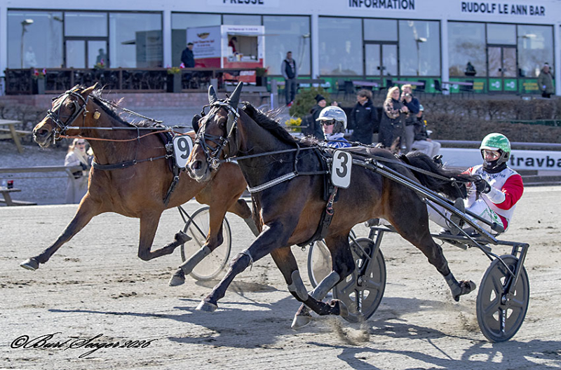 MANHATTAN TROT S2 5634