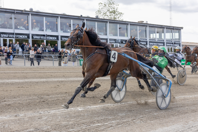 M T TOP NOTCH 1