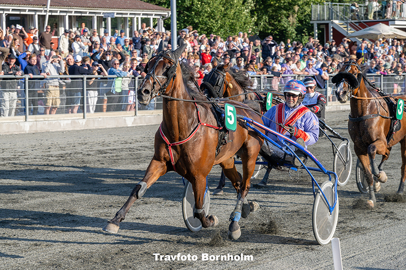 Marvin Gaye med Kenn Christoffersen 29 juli 2025 Fotograf Torben Ager Travfoto Bornholm TKA 7631