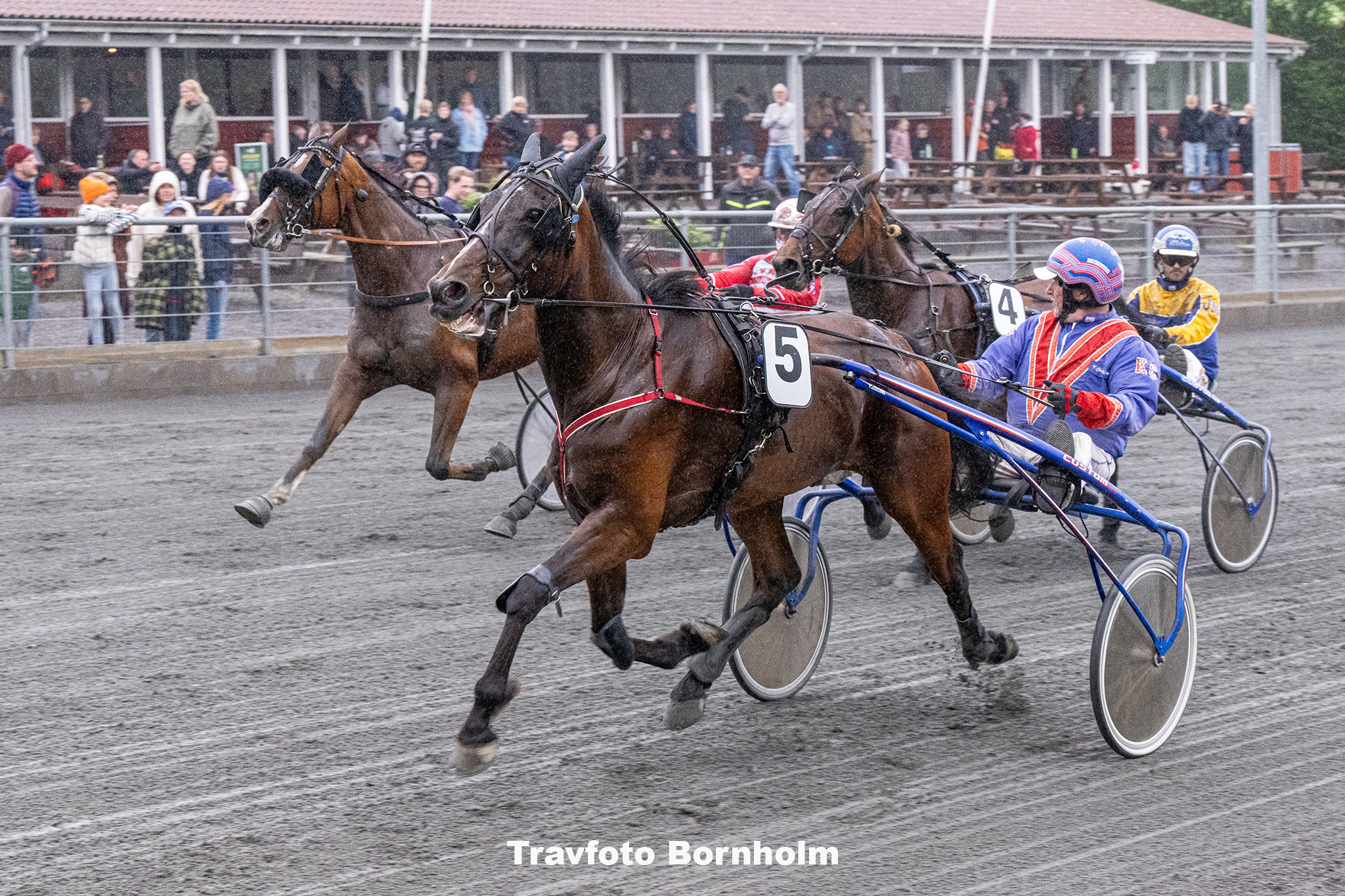 Marvin Gaye med Kenn Christoffersen 30 maj 2025 Fotograf Torben Ager Travfoto Bornholm TKA 0145
